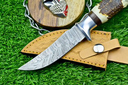 Handmade Damascus Hunting Knife with Sheath – 9" Stag Horn Handle | Gift for Him  SN-1194